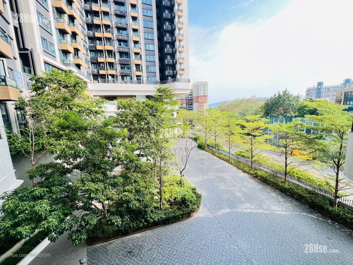 《2房連平台》 震撼的4XX萬收票！有匙即看！青公路邊！ 8